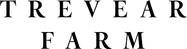 TF Logo